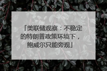 美联储观察：不稳定的特朗普政策环境下，鲍威尔只能旁观